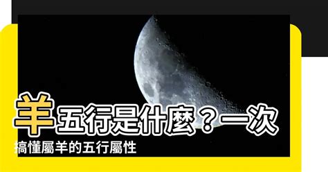 屬羊 五行|【羊五行屬什麼】羊五行是什麼？一次搞懂屬羊的五行。